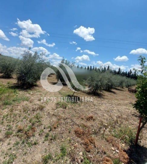 Venta de finca rústica en Córdoba