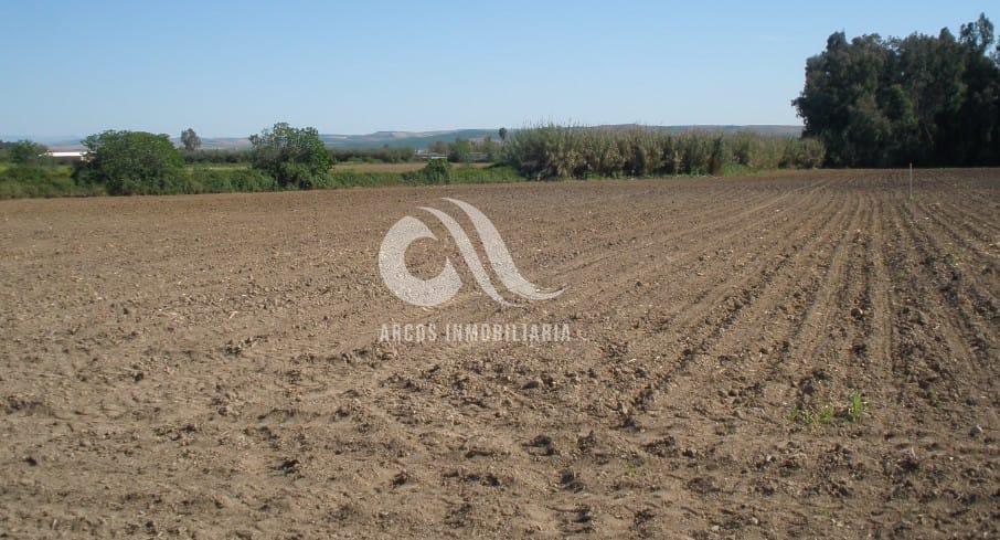 Venta de finca rústica en Córdoba