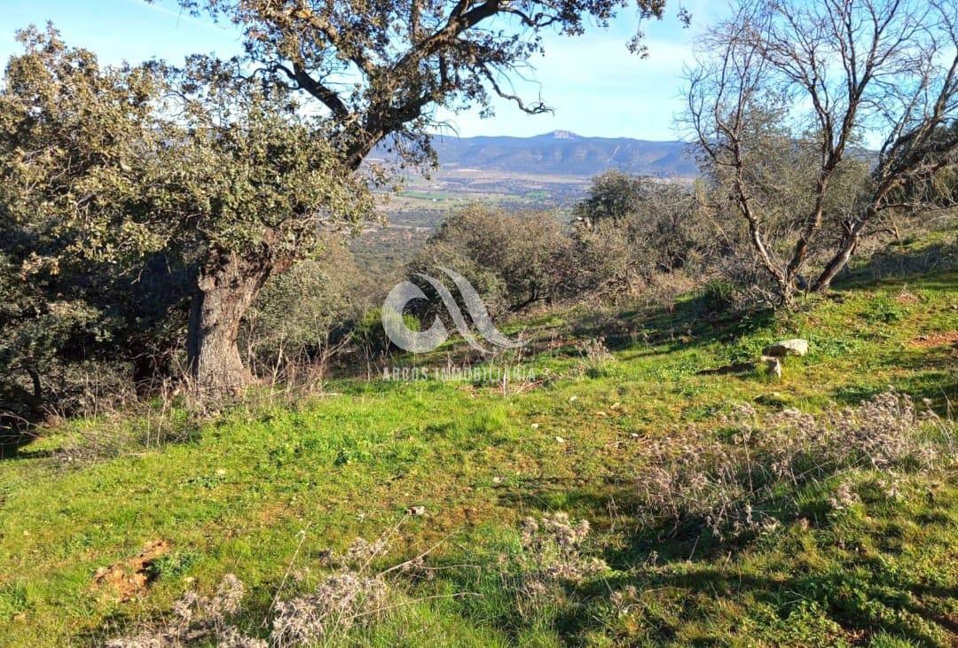 Venta de finca rústica en Córdoba