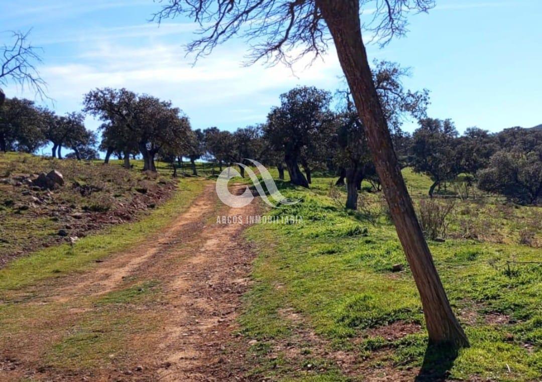 Venta de finca rústica en Córdoba