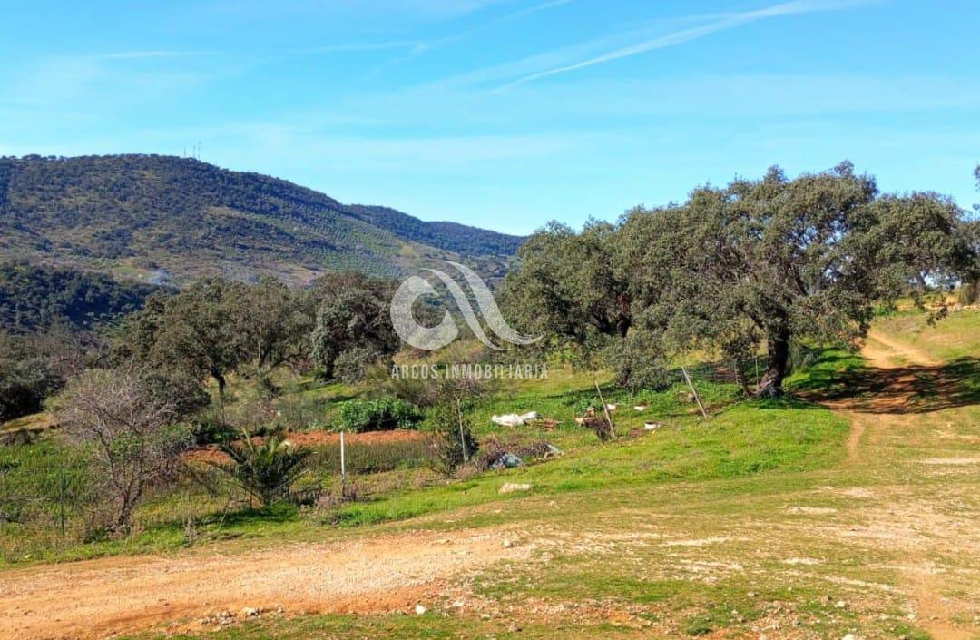 Venta de finca rústica en Córdoba