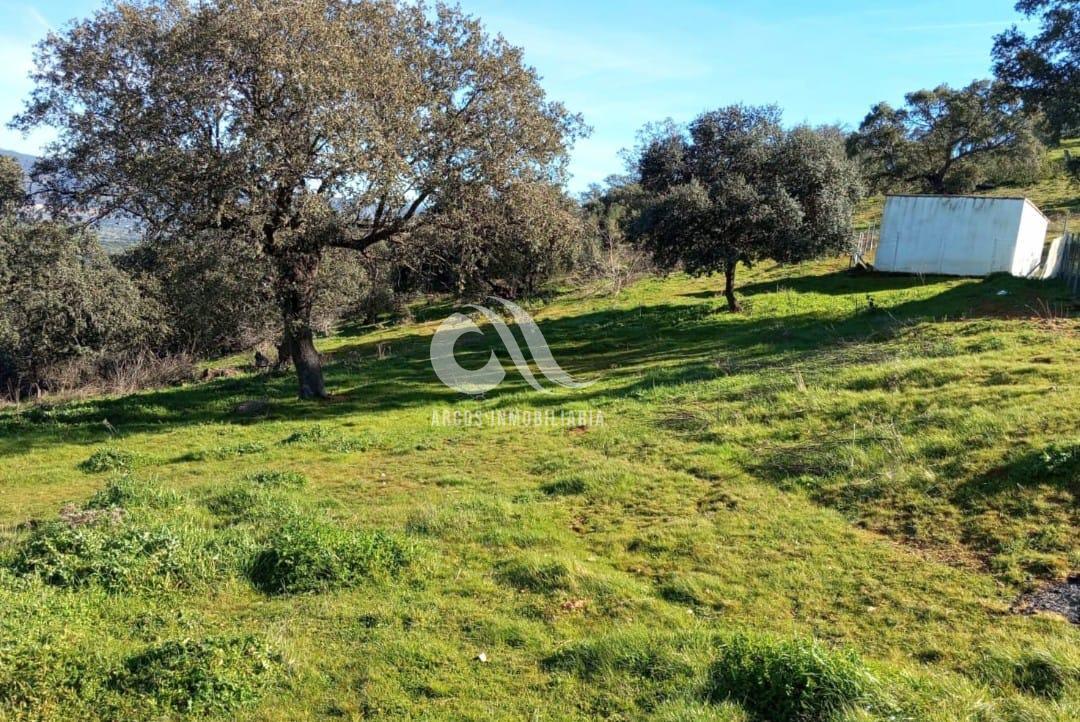 Venta de finca rústica en Córdoba