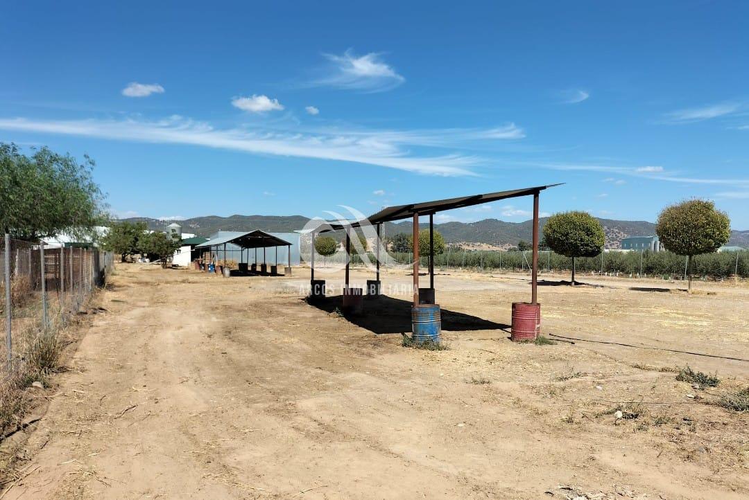 Alquiler de terreno en Córdoba Alquiler de terreno en Córdoba