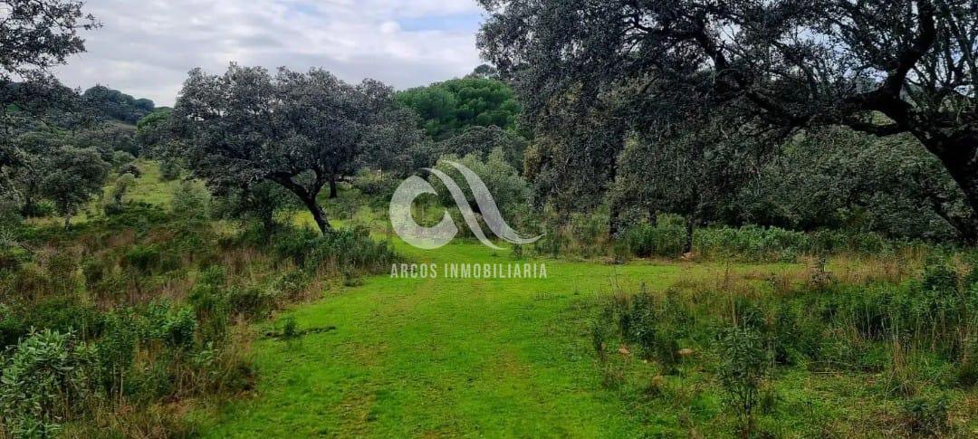 Venta de finca rústica en Córdoba Venta de finca rústica en Córdoba