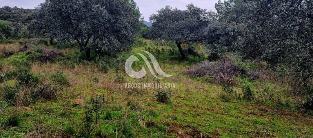 Venta de finca rústica en Córdoba Venta de finca rústica en Córdoba