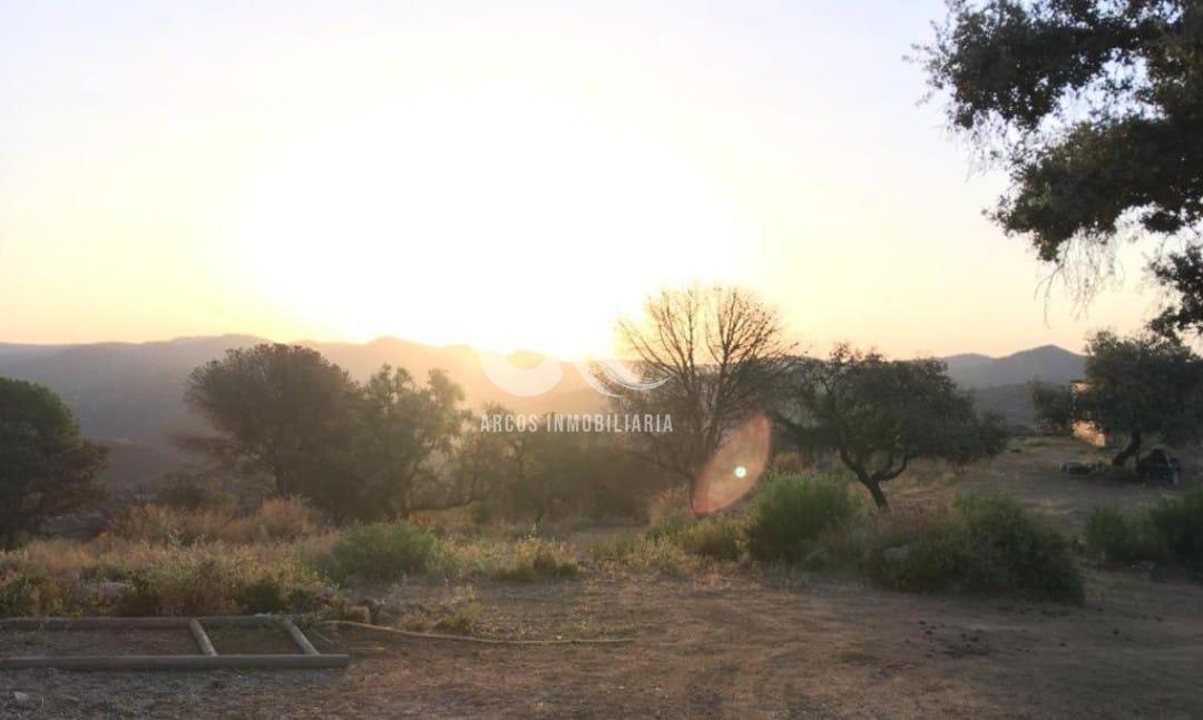 Venta de finca rústica en Córdoba Venta de finca rústica en Córdoba