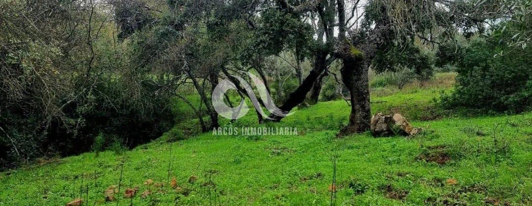 Venta de finca rústica en Córdoba Venta de finca rústica en Córdoba