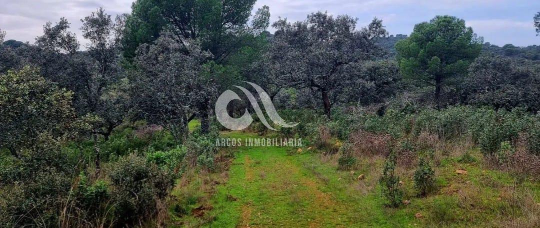 Venta de finca rústica en Córdoba Venta de finca rústica en Córdoba