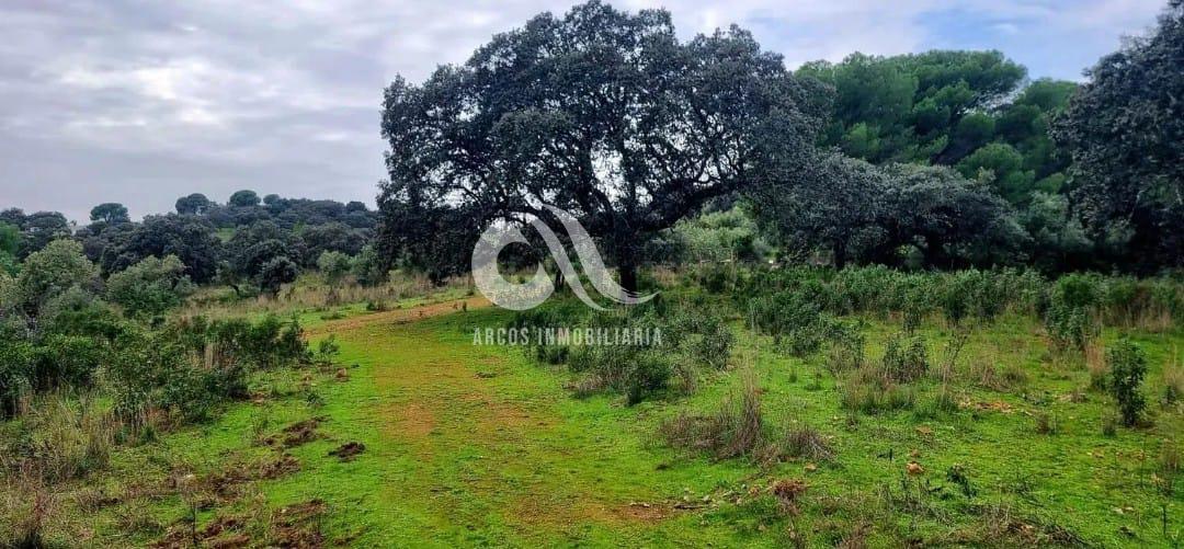Venta de finca rústica en Córdoba Venta de finca rústica en Córdoba