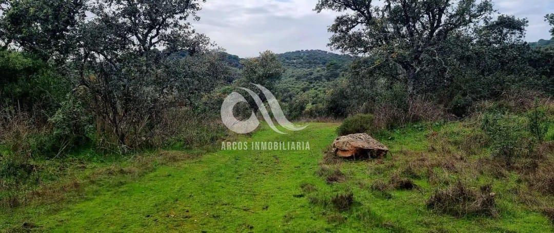 Venta de finca rústica en Córdoba Venta de finca rústica en Córdoba