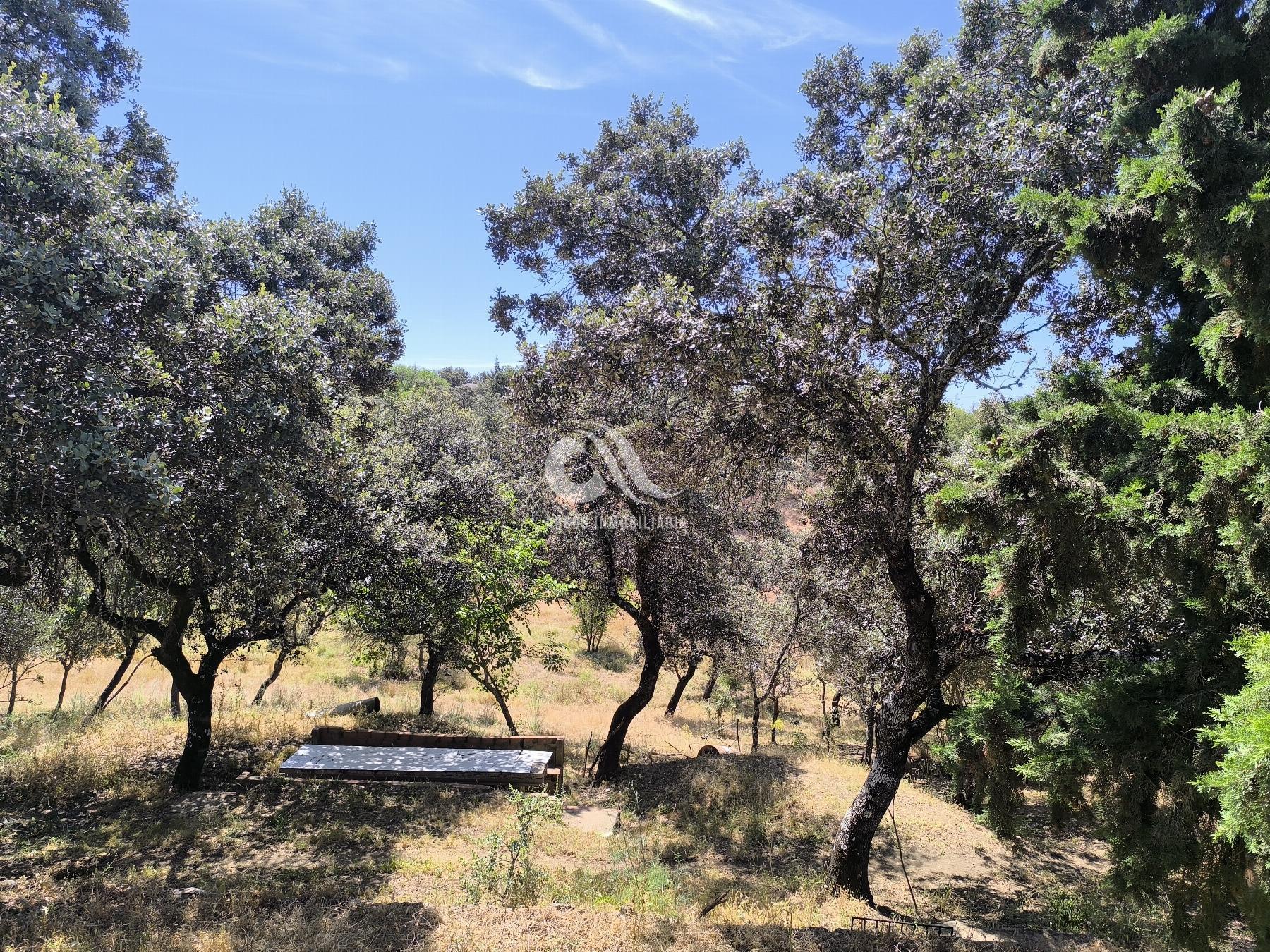For sale of chalet in Córdoba