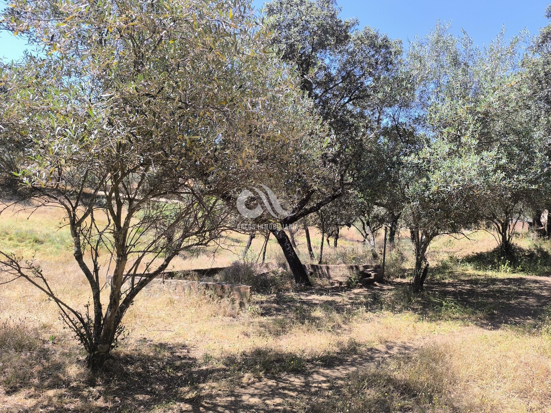 For sale of chalet in Córdoba