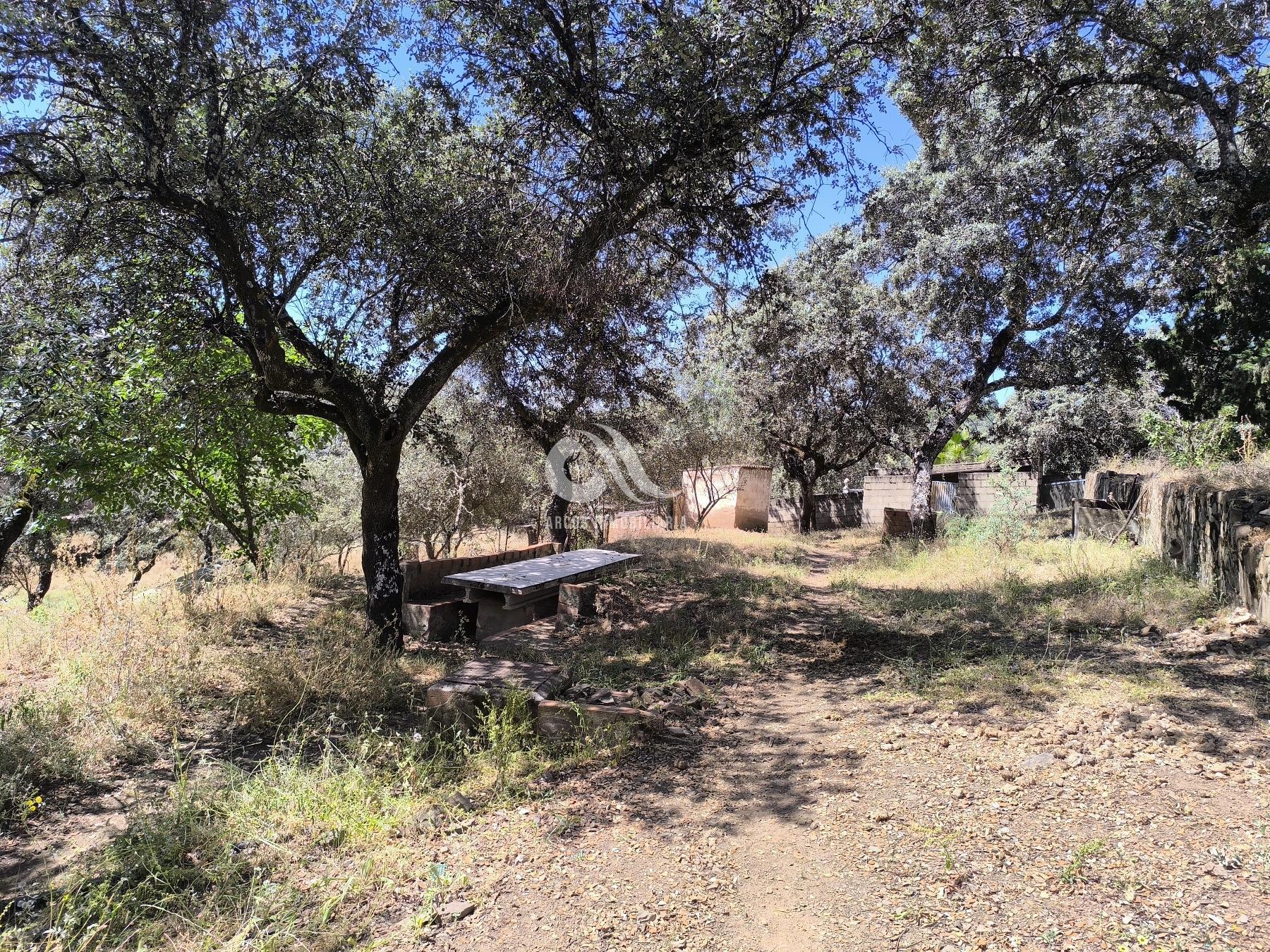 For sale of chalet in Córdoba