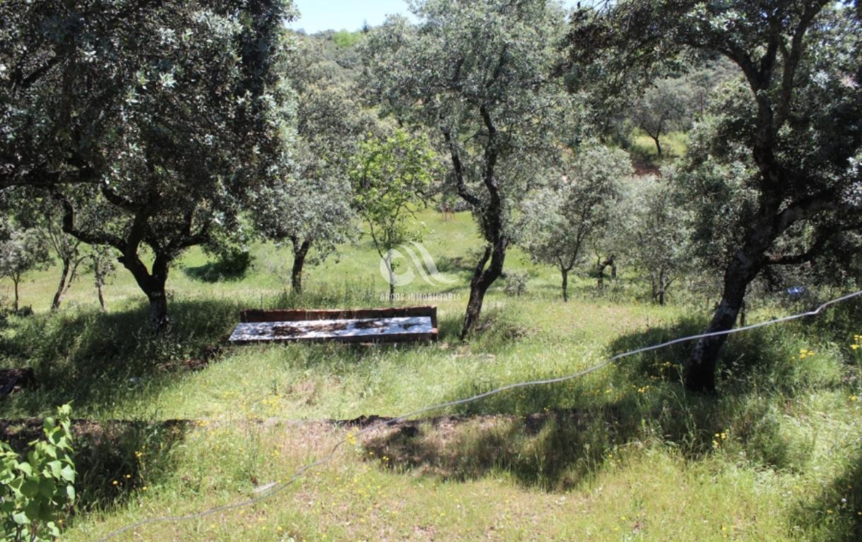 Venta de chalet en Córdoba