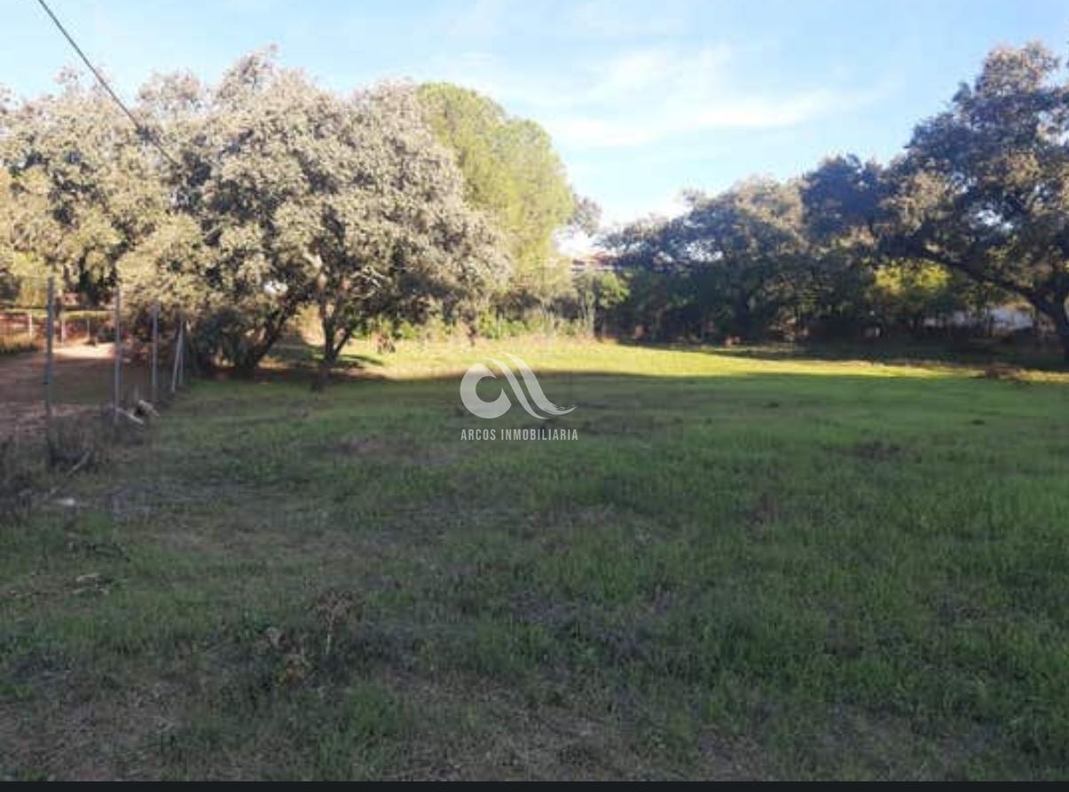 Venta de chalet en Córdoba