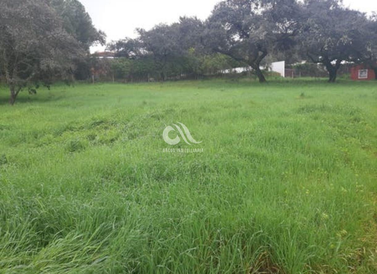 Venta de chalet en Córdoba