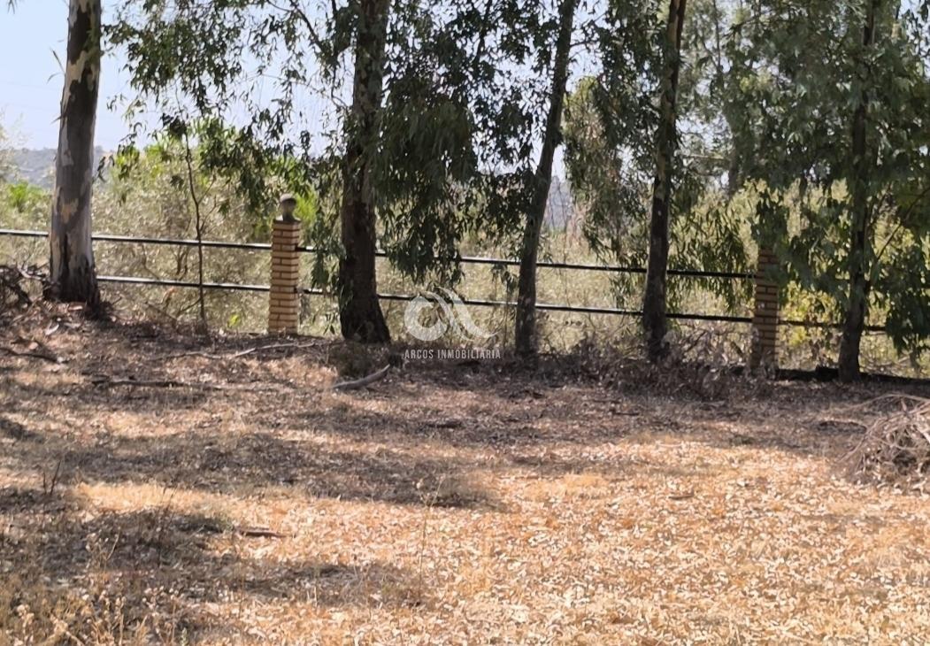 Venta de chalet en Córdoba