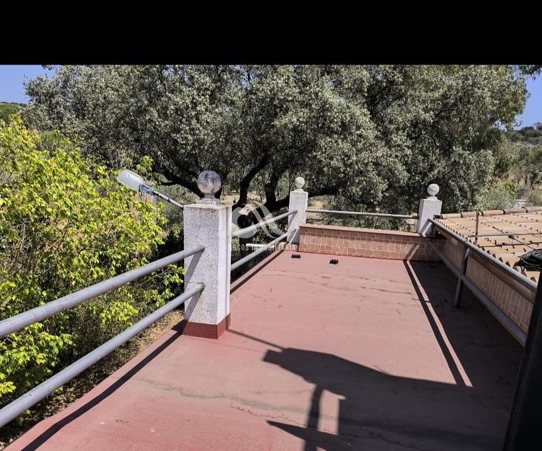 Venta de chalet en Córdoba