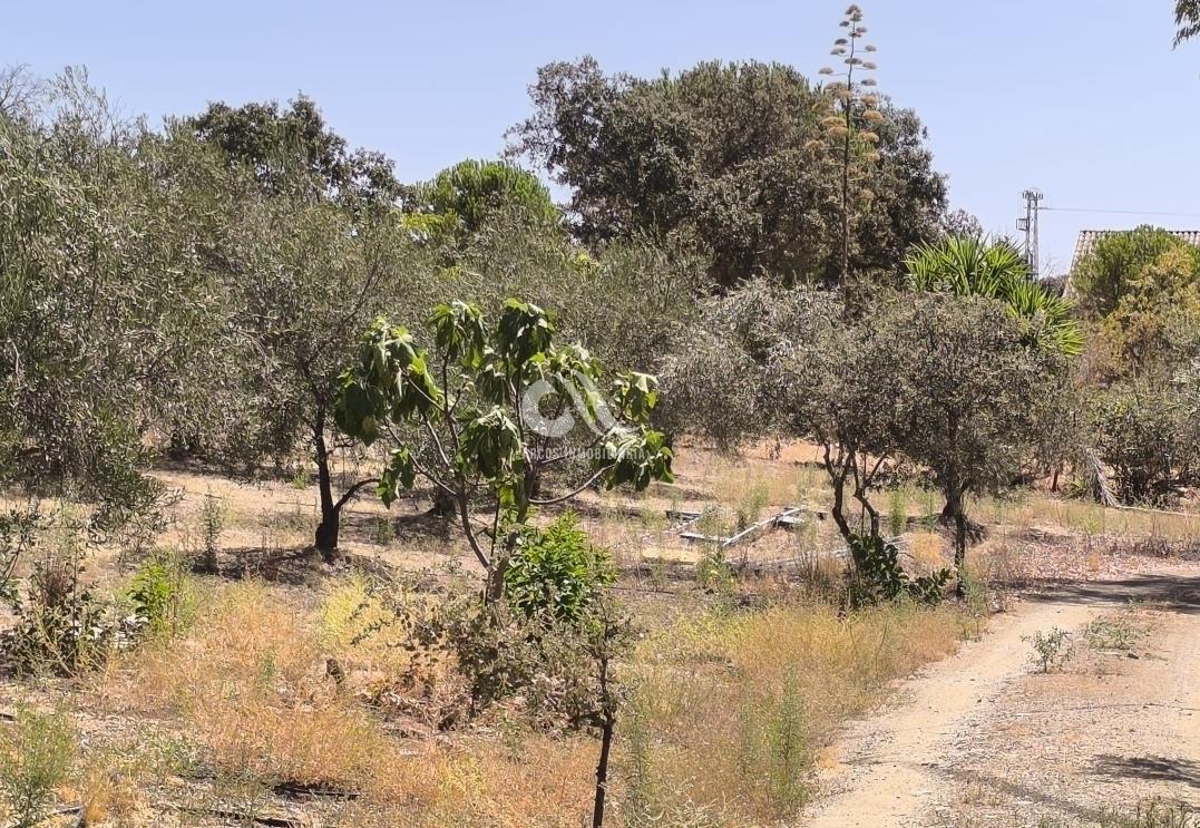 Venta de chalet en Córdoba