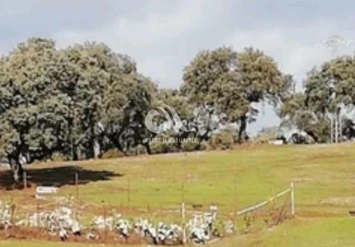 Venta de finca rústica en Córdoba