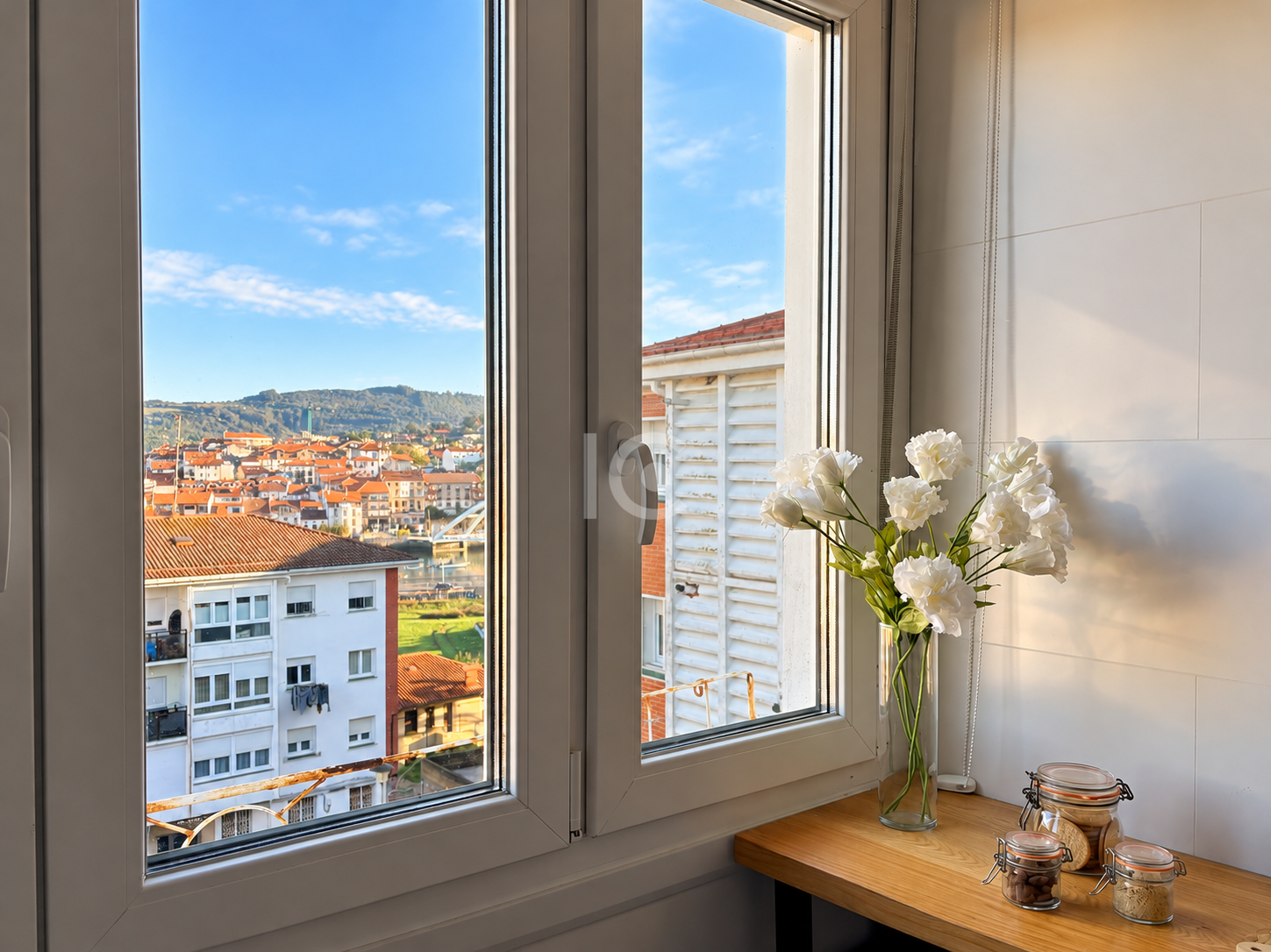 Vistas