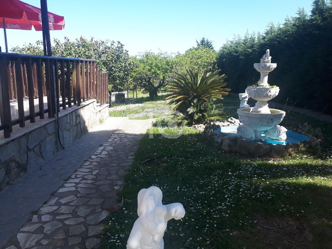 Jardin