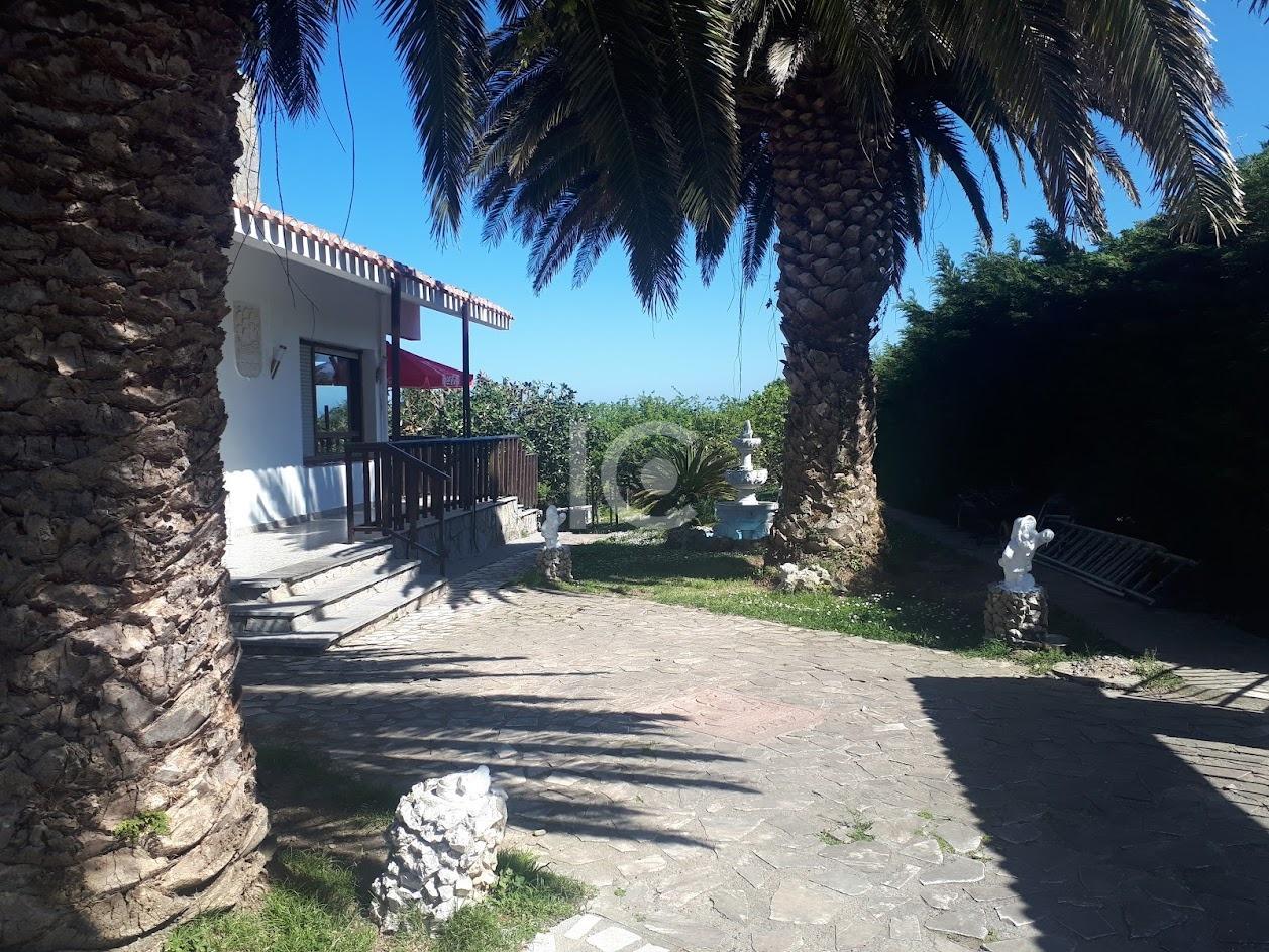 Jardin