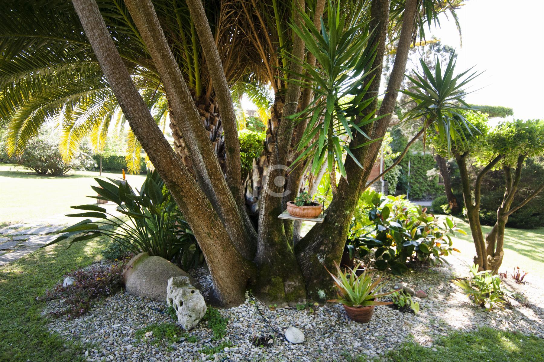 Vente de maison dans Sopelana