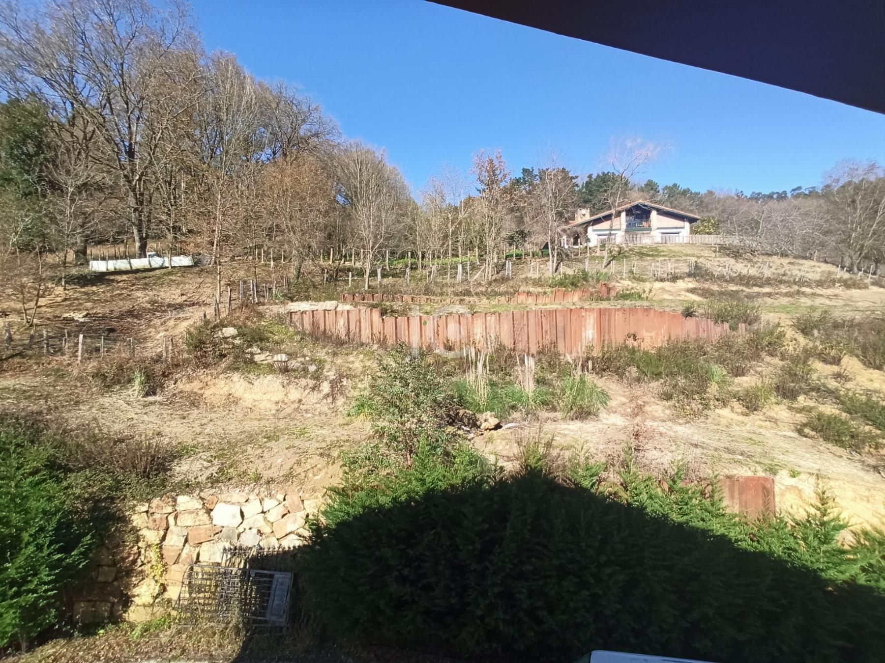 For sale of house in Berango