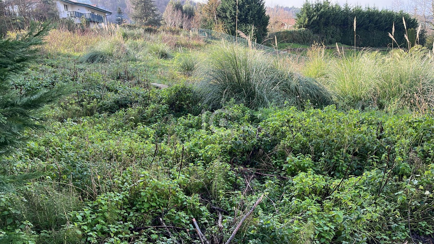 For sale of land in Plentzia