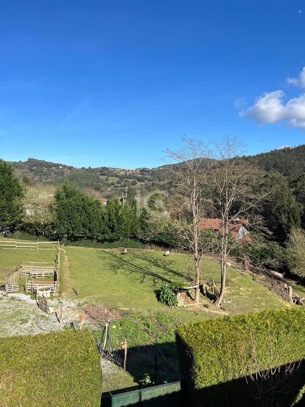 For sale of land in Plentzia