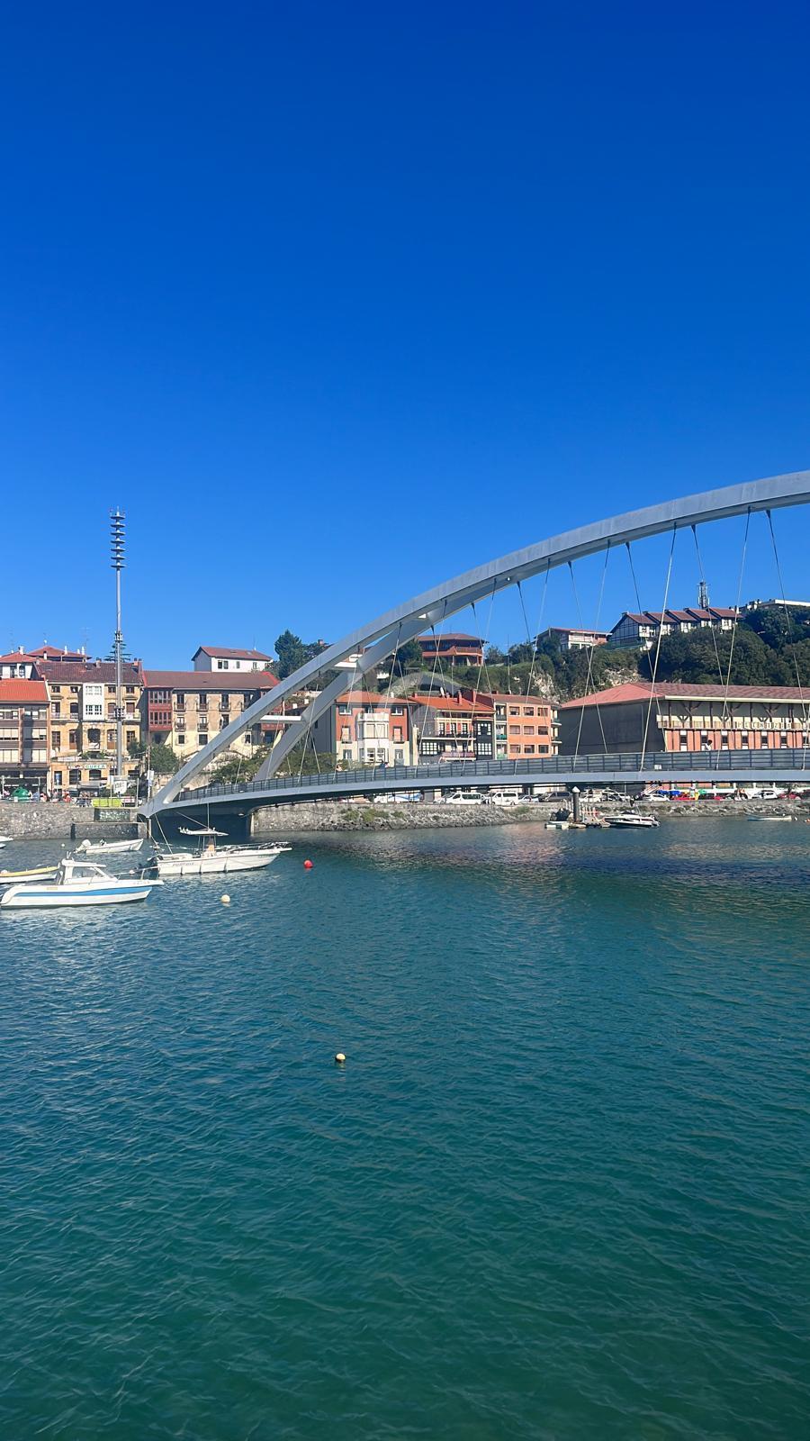For sale of land in Plentzia