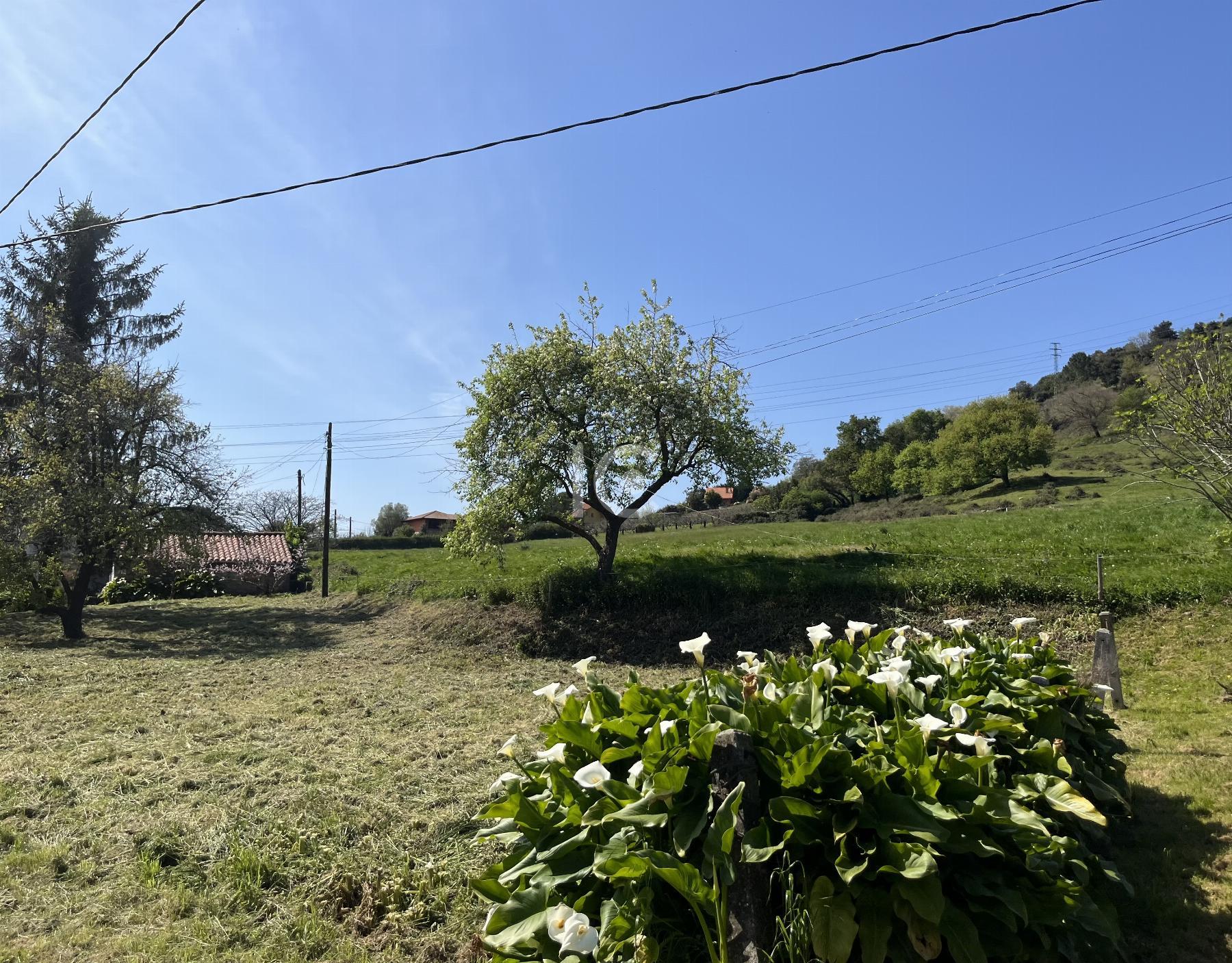 Jardín