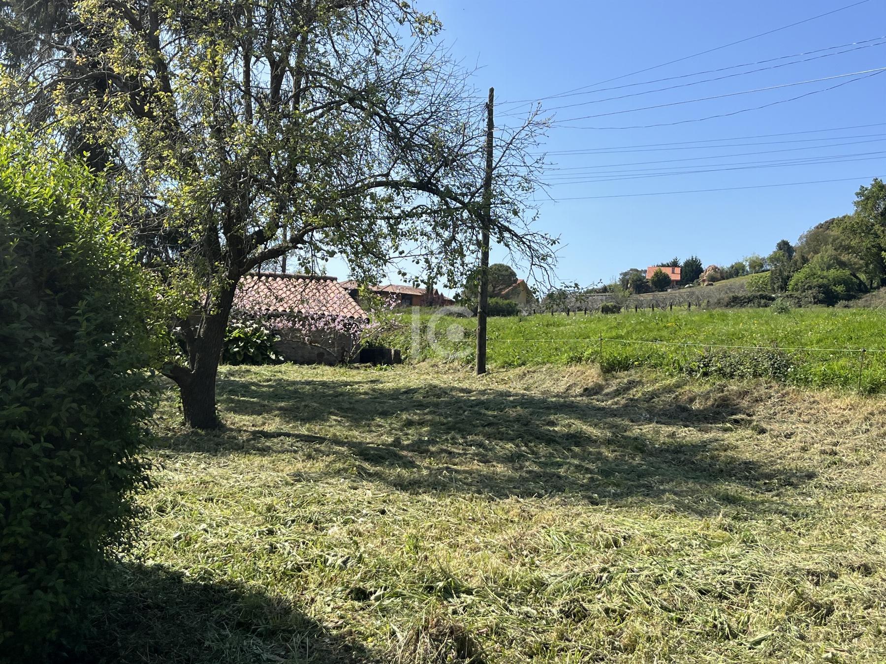 Jardín