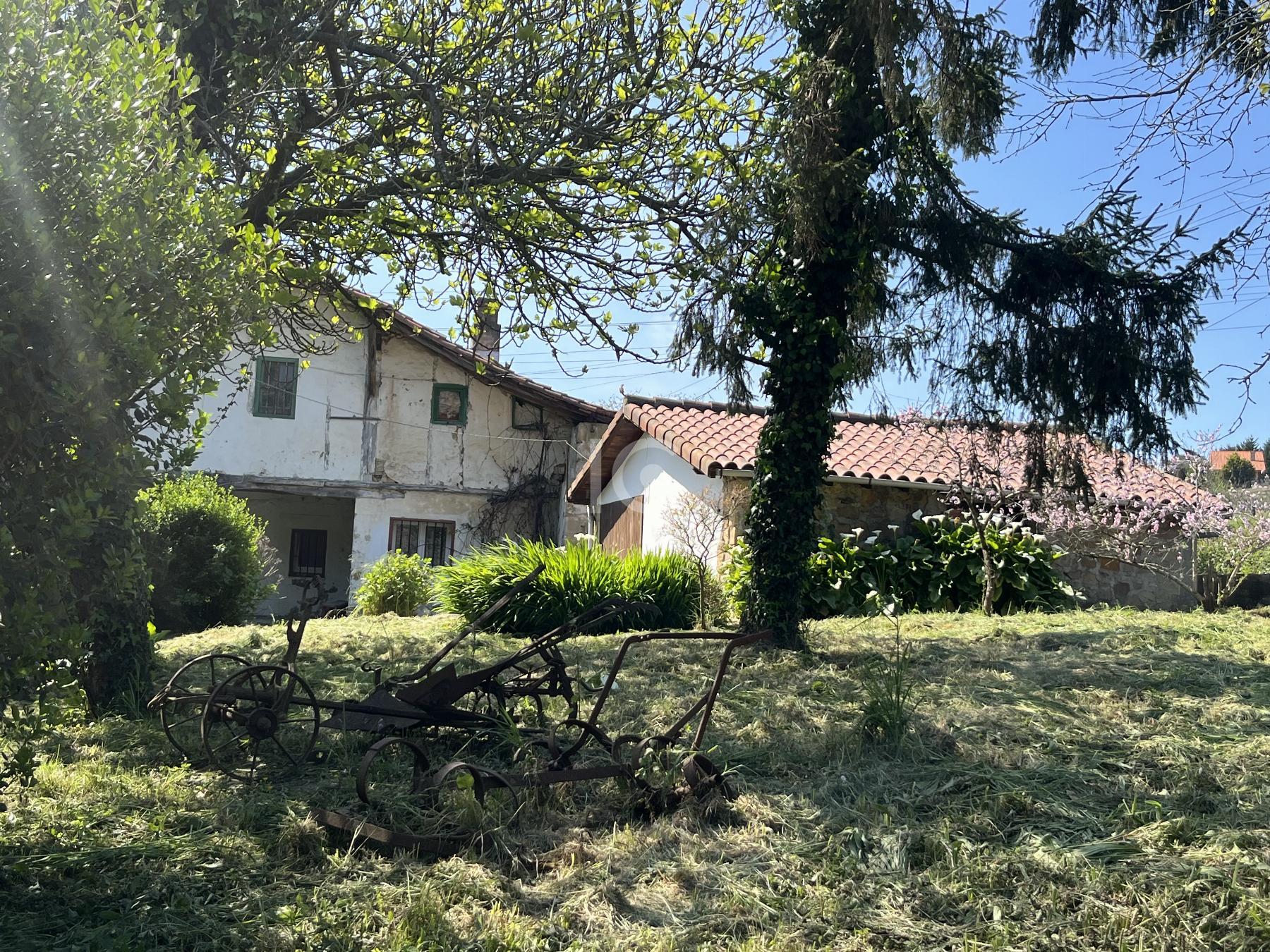 Jardín