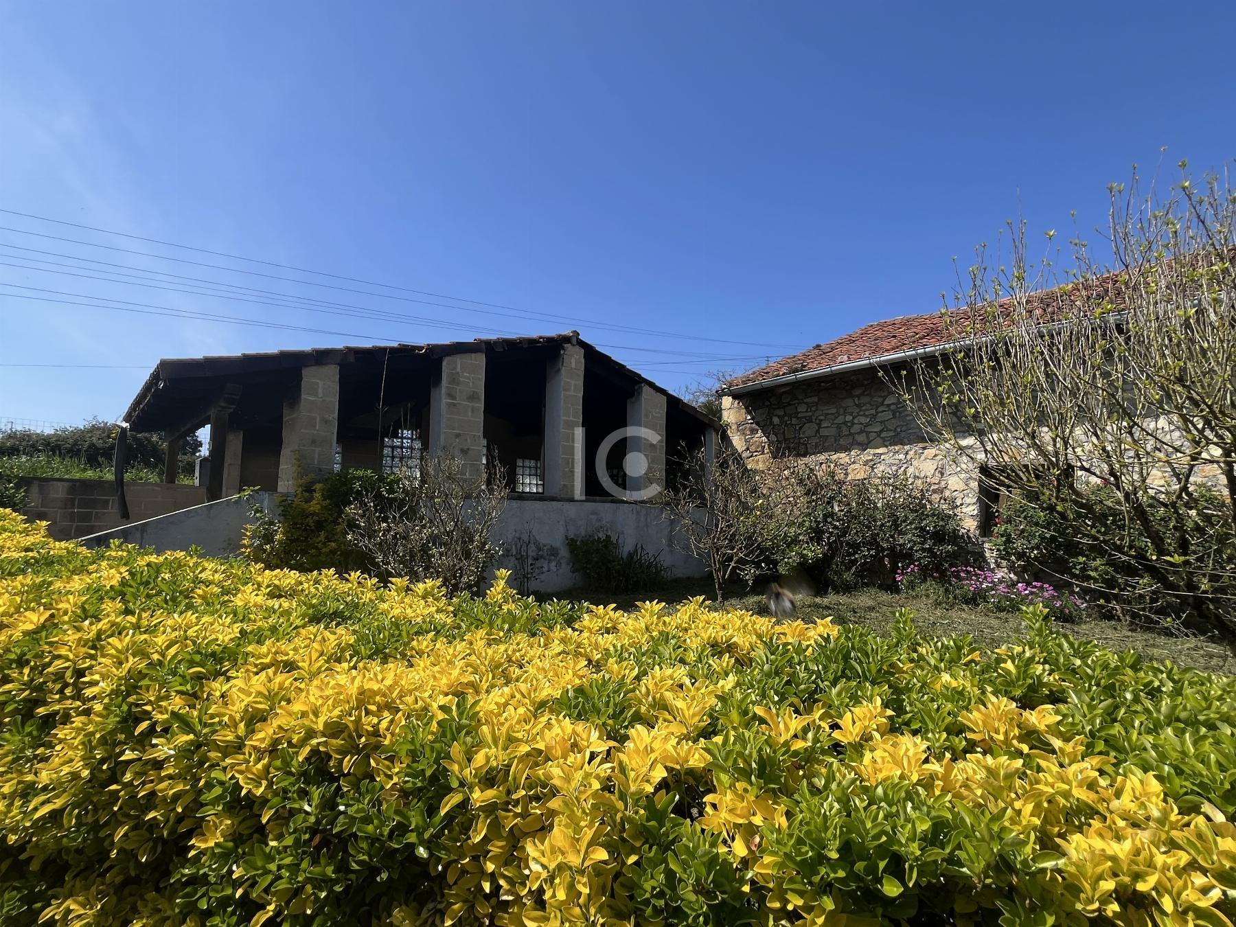 Jardín