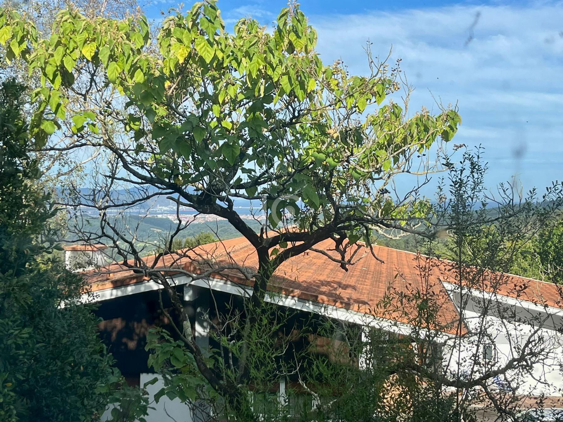 Vistas