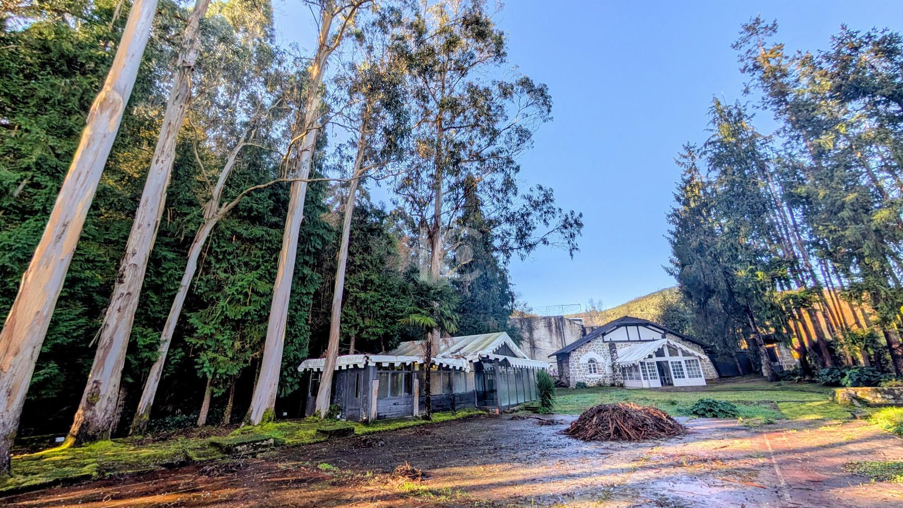 For sale of land in Busturia