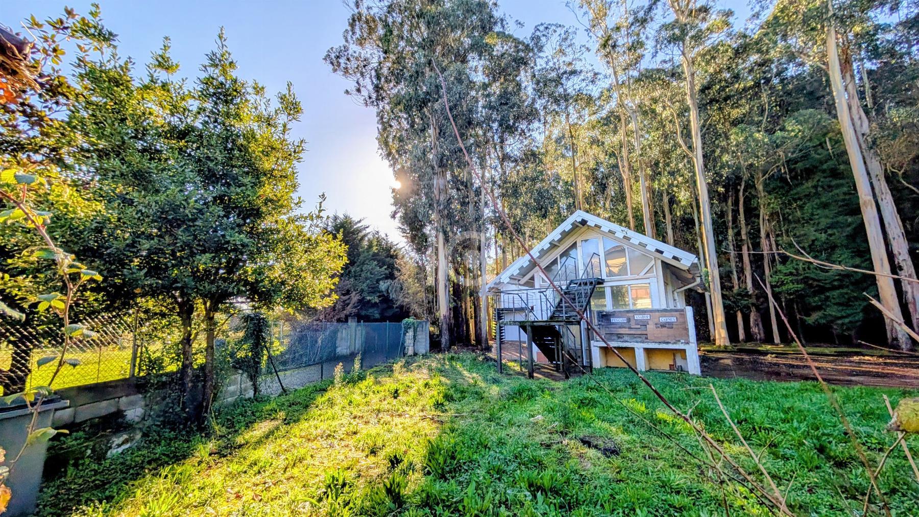 For sale of land in Busturia