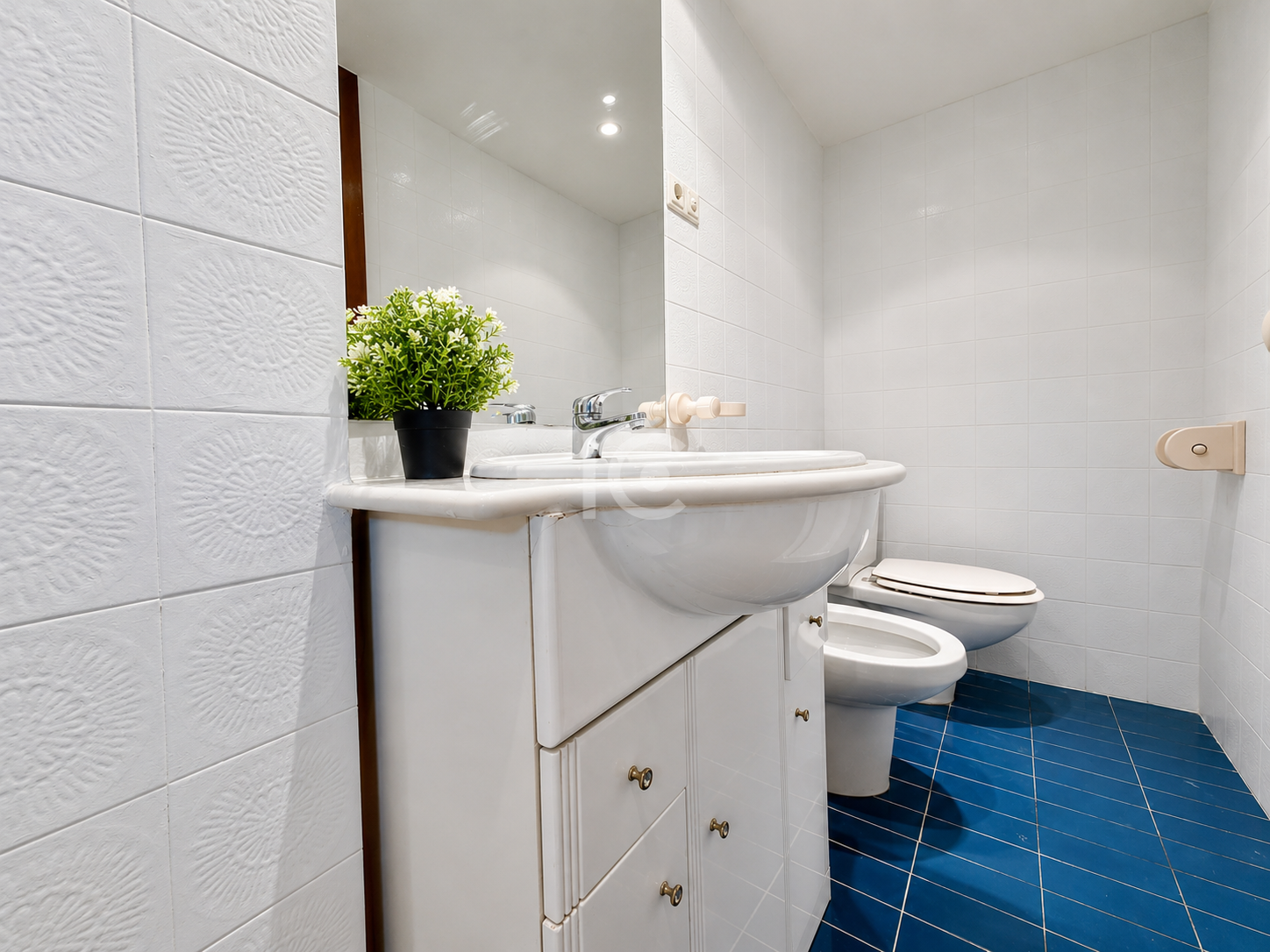 Baño suite