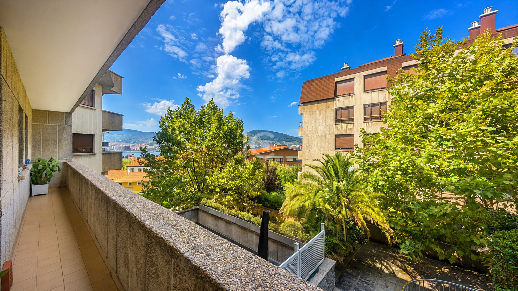 Terraza
