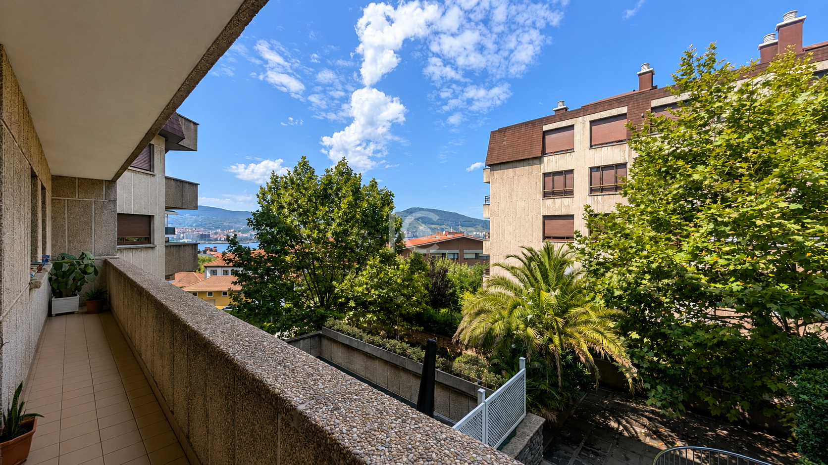 Terraza