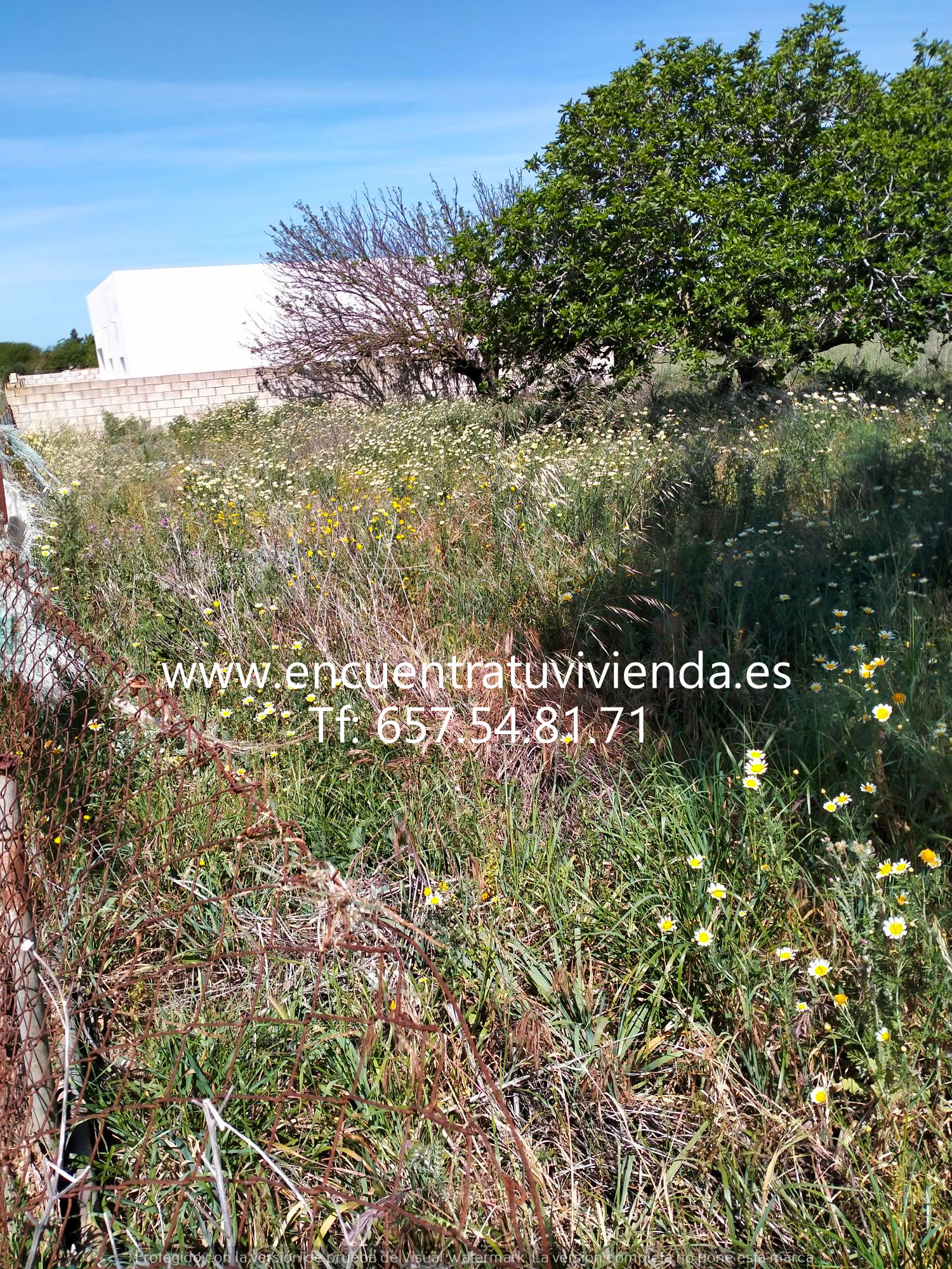 For sale of land in Chiclana de la Frontera