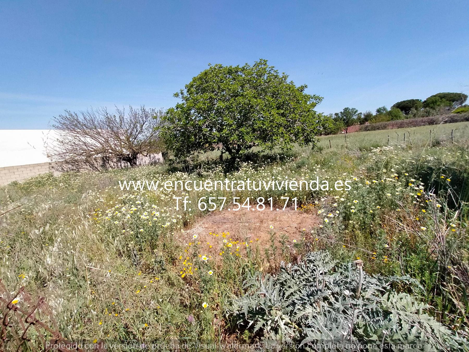 For sale of land in Chiclana de la Frontera