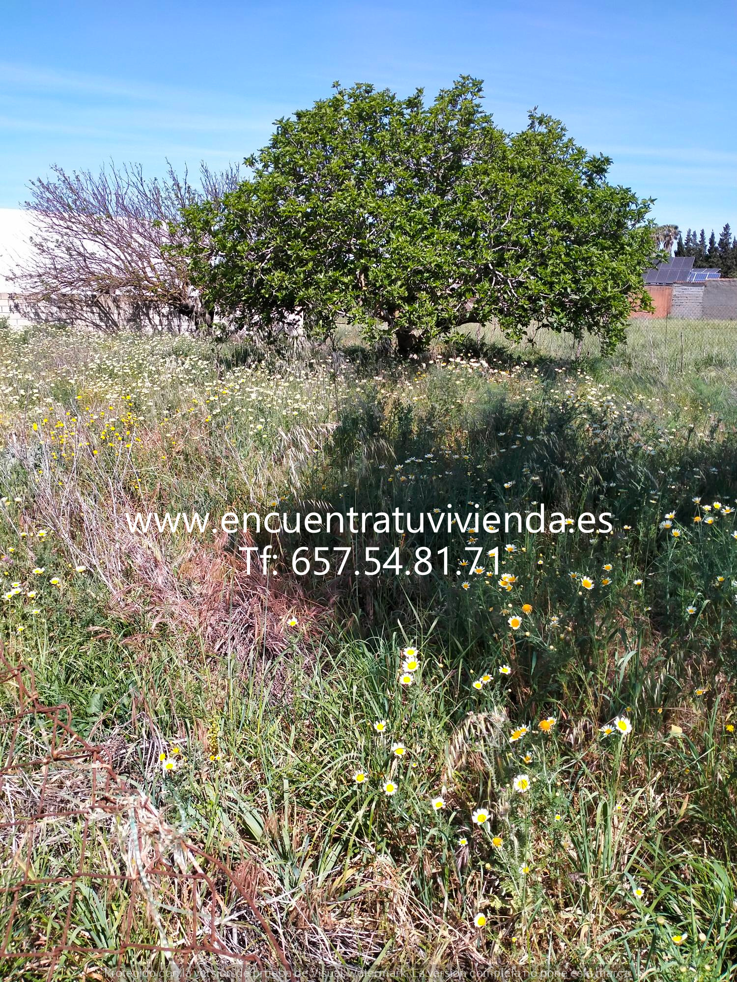 For sale of land in Chiclana de la Frontera