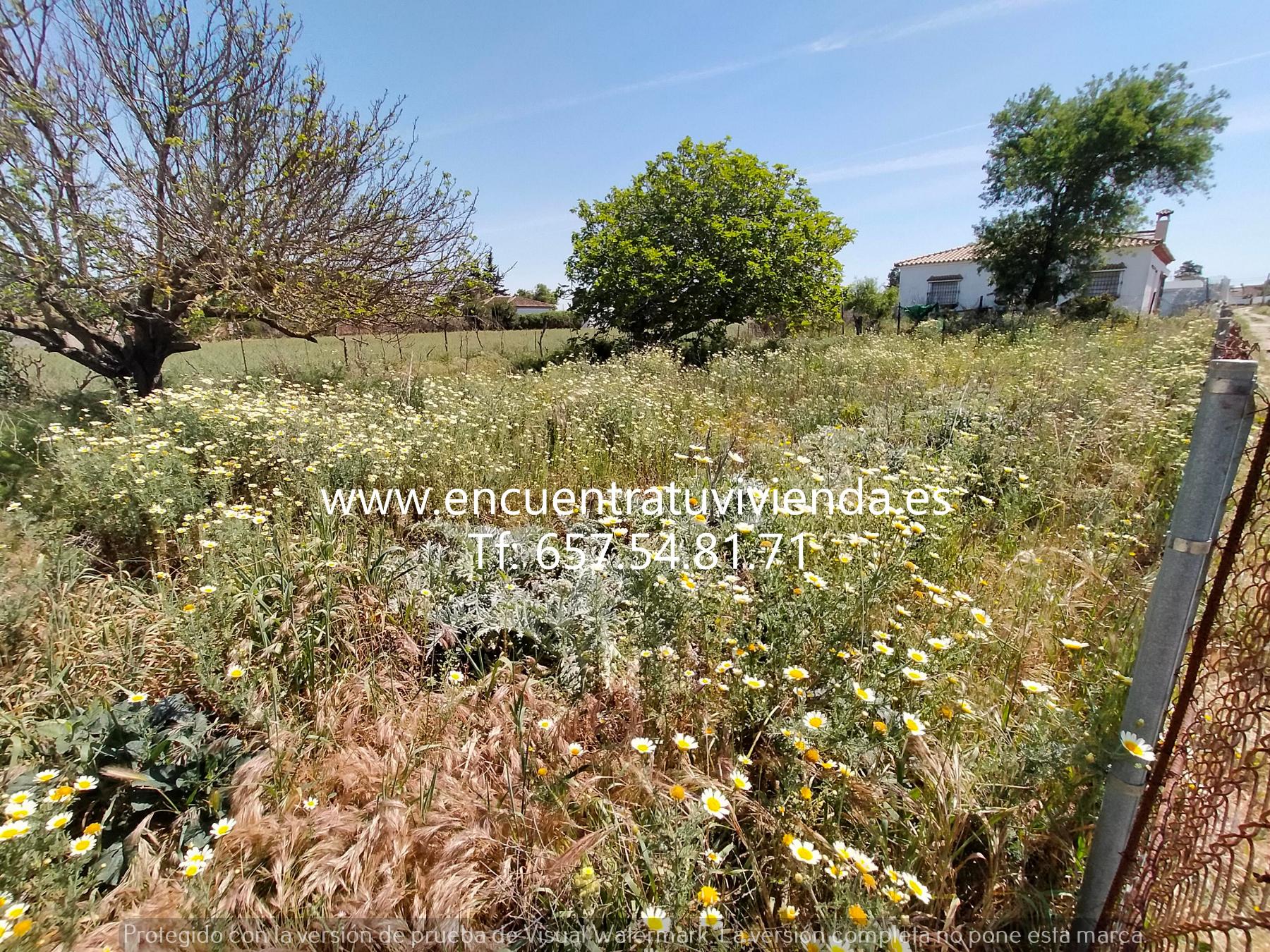 For sale of land in Chiclana de la Frontera