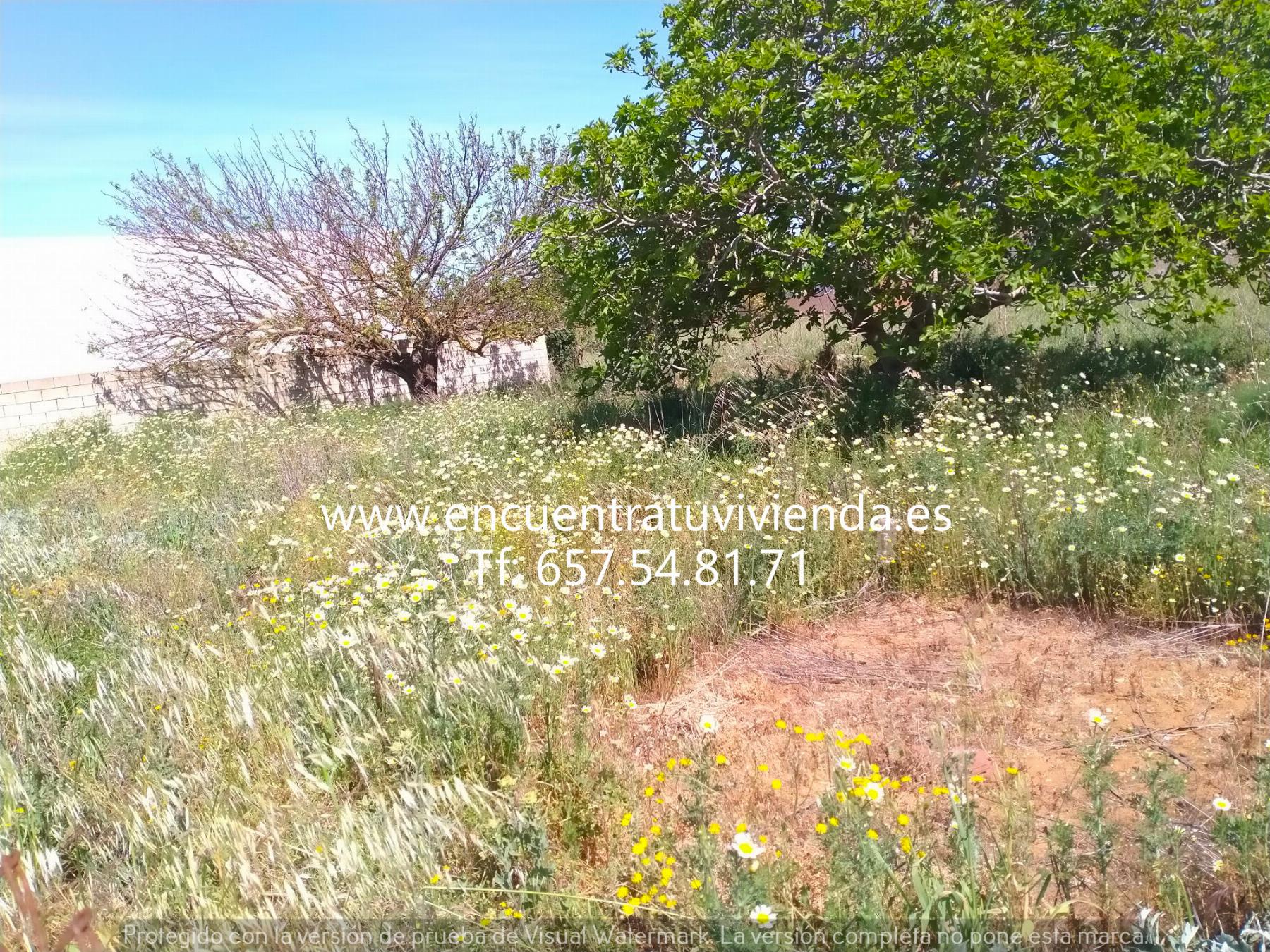 For sale of land in Chiclana de la Frontera