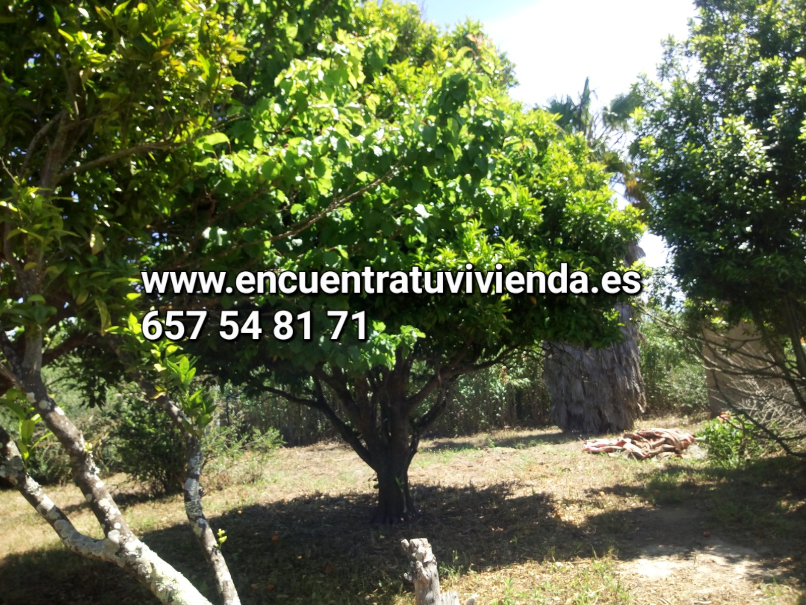 For sale of rural property in Chiclana de la Frontera