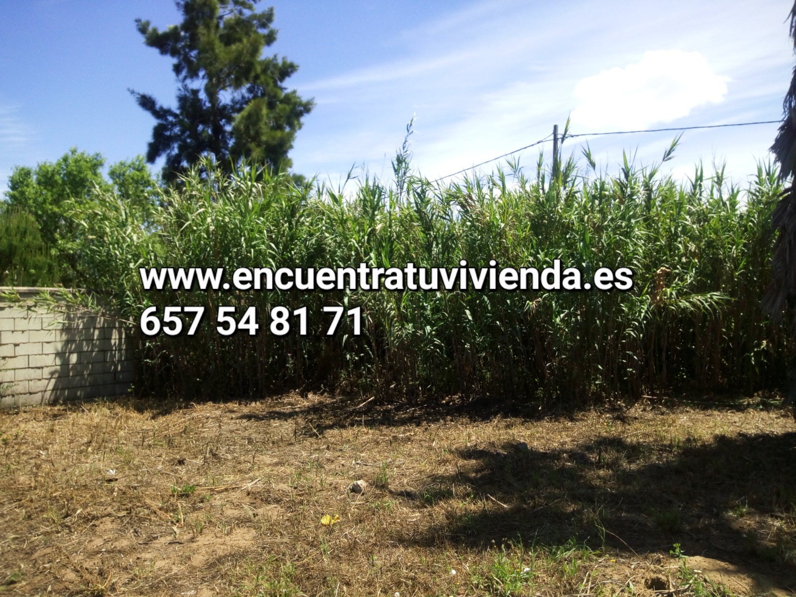 Venta de finca rústica en Chiclana de la Frontera