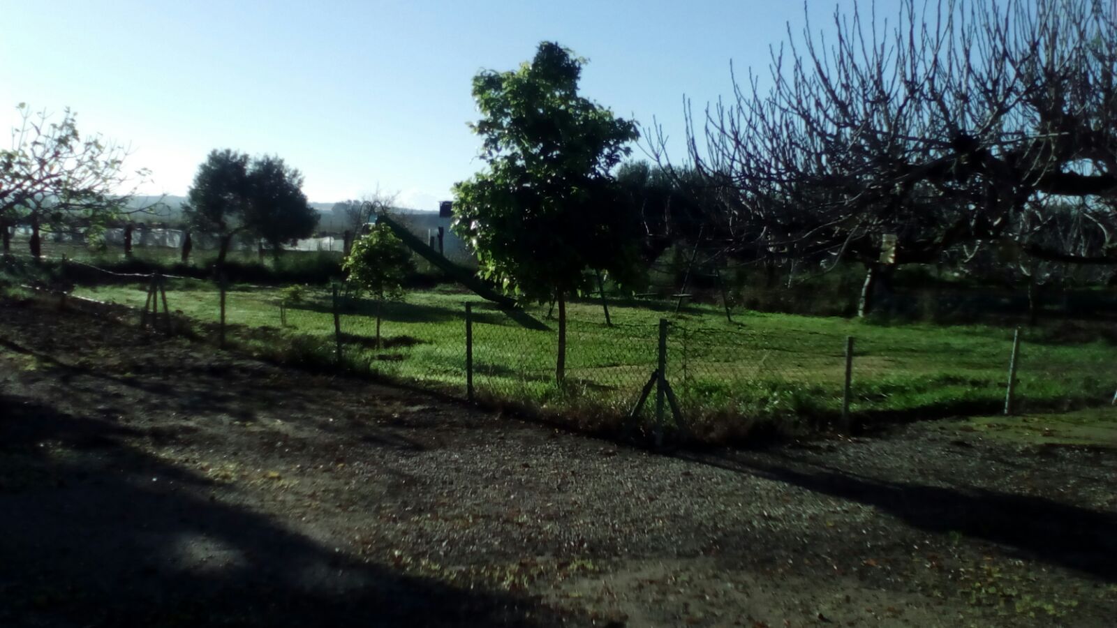 Venta de terreno en Chiclana de la Frontera